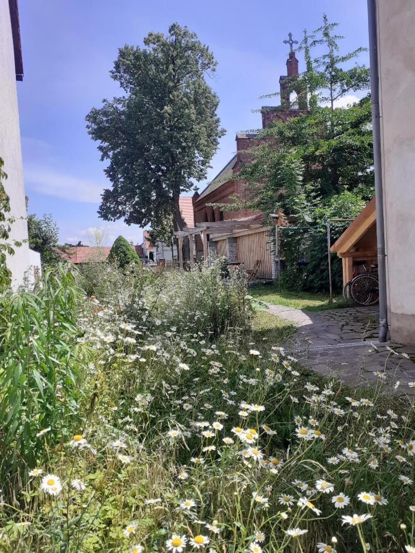 Ferienwohnung Martinsblick Angermunde Esterno foto